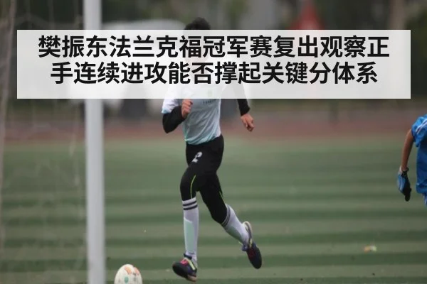 樊振东法兰克福冠军赛复出观察正手连续进攻能否撑起关键分体系